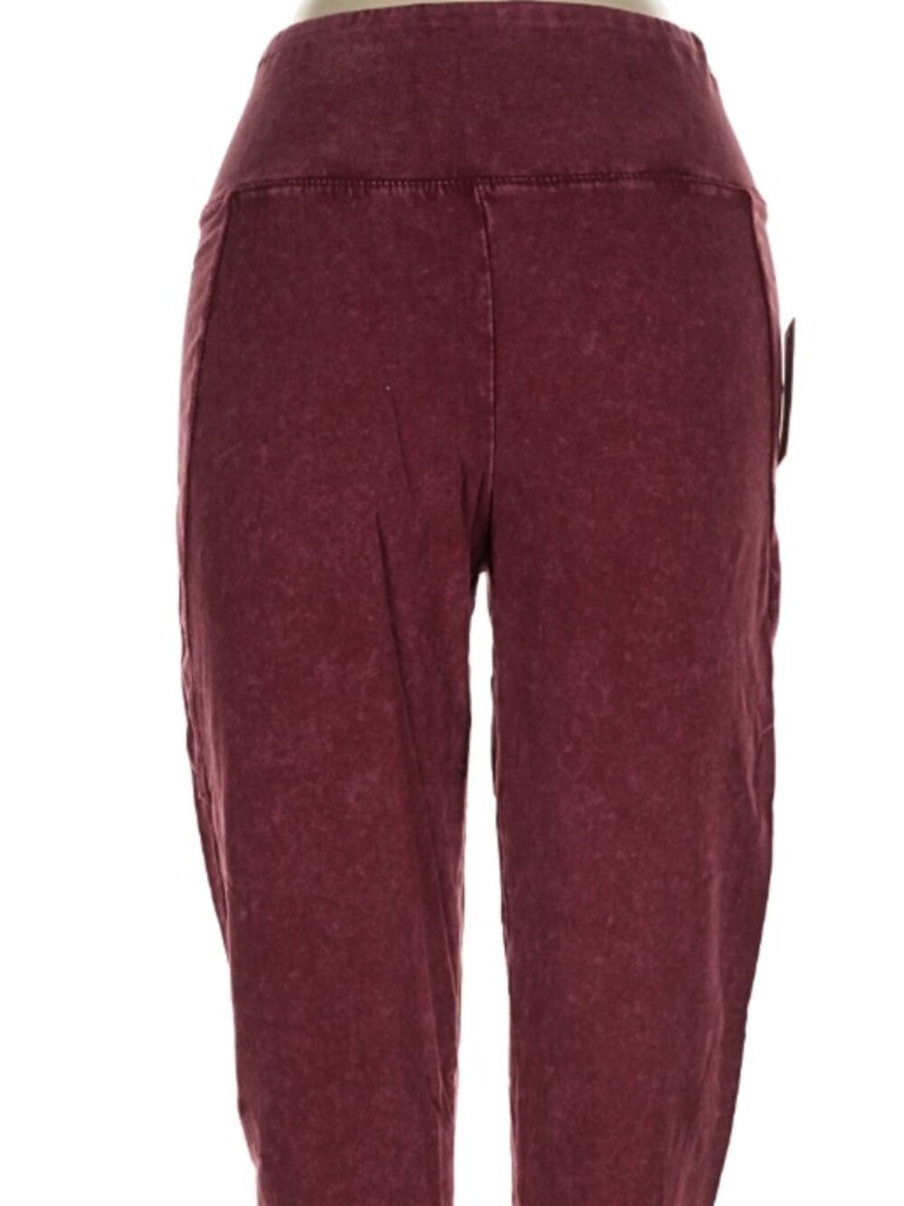 NWT Saturday Sunday Burgundy Casual Pants XS
